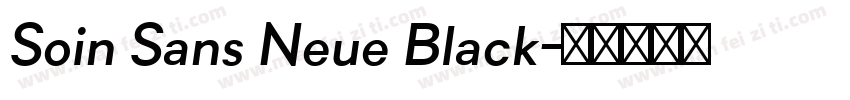 Soin Sans Neue Black字体转换